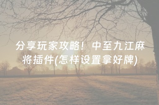 分享玩家攻略！中至九江麻将插件(怎样设置拿好牌)