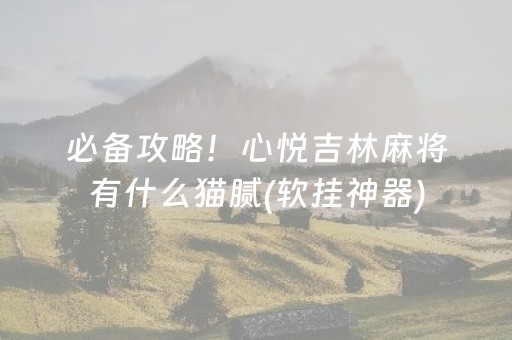 必备攻略！心悦吉林麻将有什么猫腻(软挂神器)