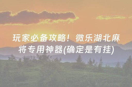 玩家必备攻略！微乐湖北麻将专用神器(确定是有挂)