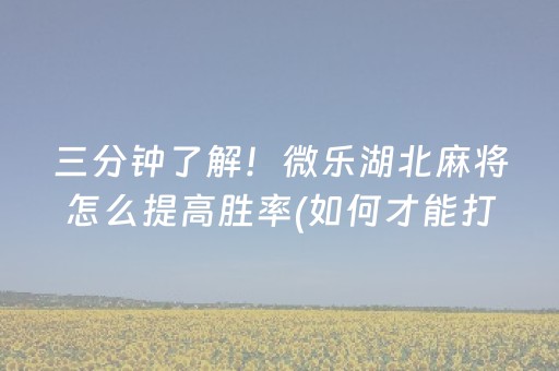 三分钟了解！微乐湖北麻将怎么提高胜率(如何才能打赢)