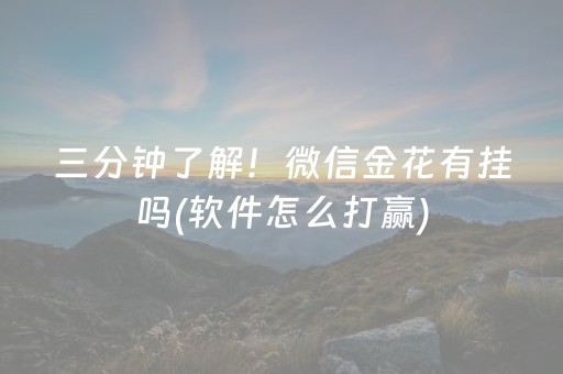 三分钟了解！微信金花有挂吗(软件怎么打赢)