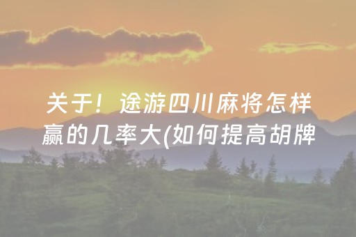 关于！途游四川麻将怎样赢的几率大(如何提高胡牌率)
