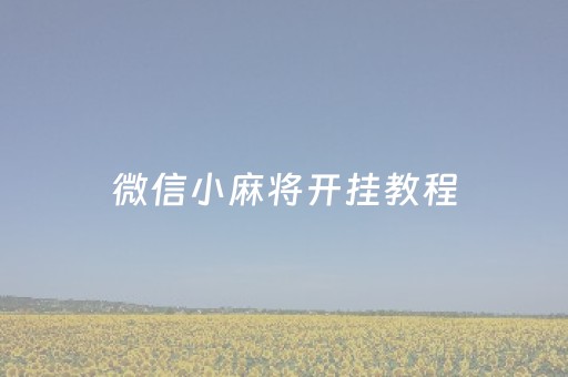 微信小麻将开挂教程（微信打麻将小程序开挂）