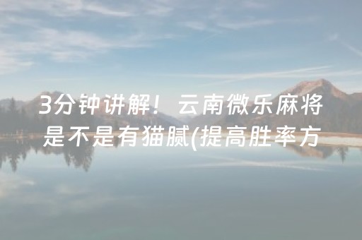 3分钟讲解！云南微乐麻将是不是有猫腻(提高胜率方法)