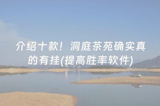 介绍十款！洞庭茶苑确实真的有挂(提高胜率软件)
