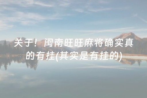 关于！闽南旺旺麻将确实真的有挂(其实是有挂的)