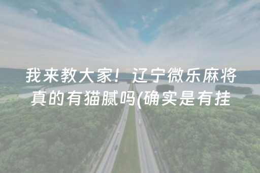 我来教大家！辽宁微乐麻将真的有猫腻吗(确实是有挂的)