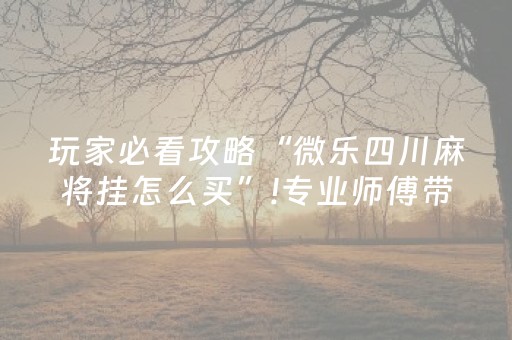 玩家必看攻略“微乐四川麻将挂怎么买”!专业师傅带你一起了解（详细教程）-知乎