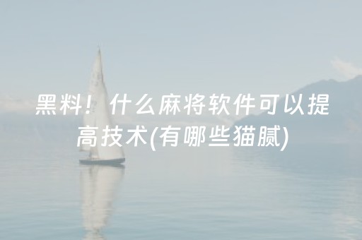 黑料！什么麻将软件可以提高技术(有哪些猫腻)