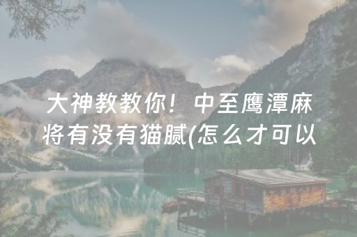 大神教教你！中至鹰潭麻将有没有猫腻(怎么才可以赢)