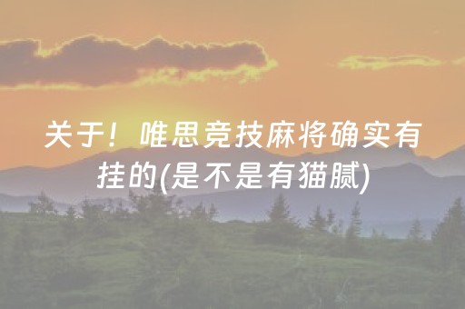 关于！唯思竞技麻将确实有挂的(是不是有猫腻)