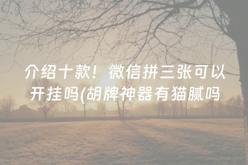 介绍十款！微信拼三张可以开挂吗(胡牌神器有猫腻吗)