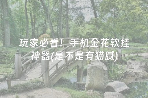 玩家必看！手机金花软挂神器(是不是有猫腻)
