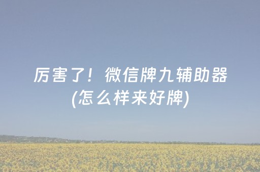 厉害了！微信牌九辅助器(怎么样来好牌)