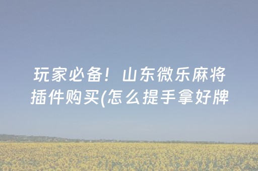 玩家必备！山东微乐麻将插件购买(怎么提手拿好牌)