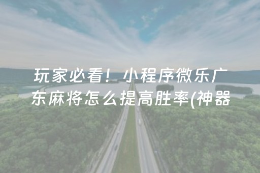 玩家必看！小程序微乐广东麻将怎么提高胜率(神器通用版)
