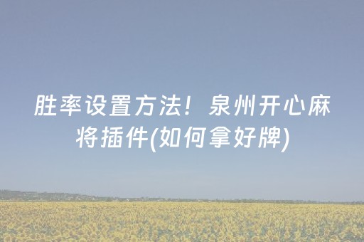 胜率设置方法！泉州开心麻将插件(如何拿好牌)