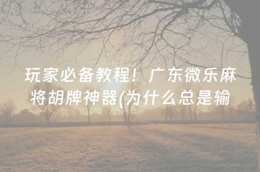 玩家必备教程！广东微乐麻将胡牌神器(为什么总是输)