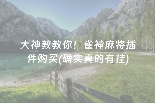 大神教教你！雀神麻将插件购买(确实真的有挂)