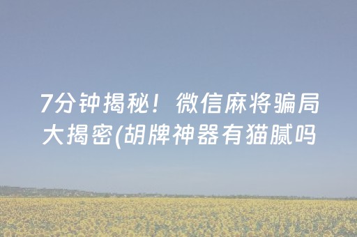 7分钟揭秘！微信麻将骗局大揭密(胡牌神器有猫腻吗)
