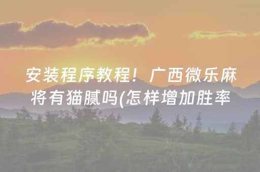 安装程序教程！广西微乐麻将有猫腻吗(怎样增加胜率)