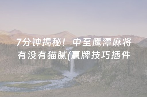 7分钟揭秘！中至鹰潭麻将有没有猫腻(赢牌技巧插件安装)
