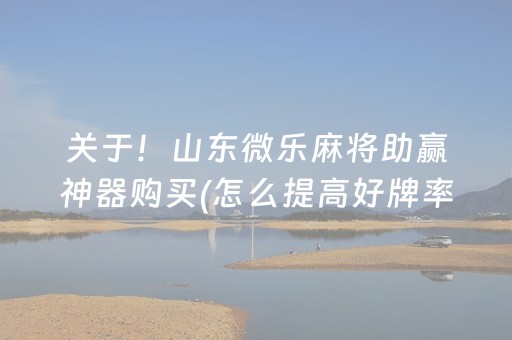 关于！山东微乐麻将助赢神器购买(怎么提高好牌率)