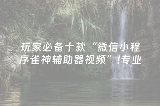 玩家必备十款“微信小程序雀神辅助器视频”!专业师傅带你一起了解（详细教程）-知乎