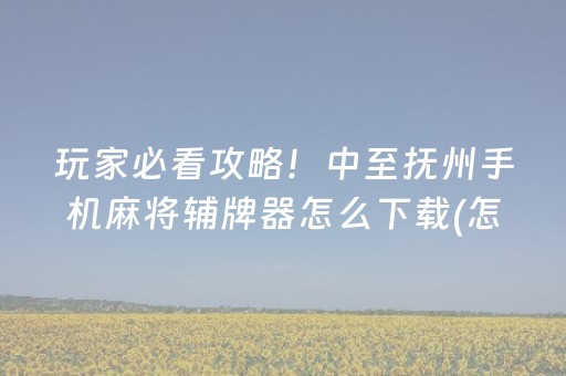 玩家必看攻略！中至抚州手机麻将辅牌器怎么下载(怎么才可以赢)