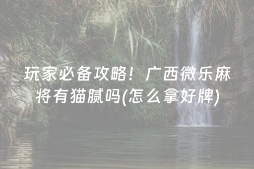 玩家必备攻略！广西微乐麻将有猫腻吗(怎么拿好牌)
