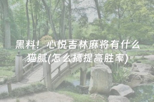 黑料！心悦吉林麻将有什么猫腻(怎么搞提高胜率)