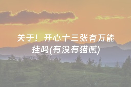 关于！开心十三张有万能挂吗(有没有猫腻)