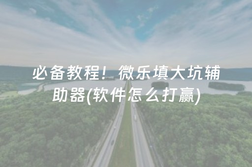 必备教程！微乐填大坑辅助器(软件怎么打赢)