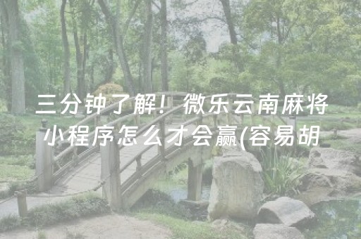 三分钟了解！微乐云南麻将小程序怎么才会赢(容易胡牌的技巧)