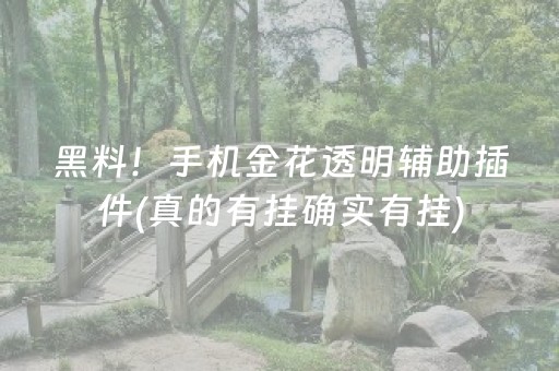 黑料！手机金花透明辅助插件(真的有挂确实有挂)