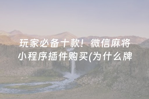 玩家必备十款！微信麻将小程序插件购买(为什么牌一直很差)