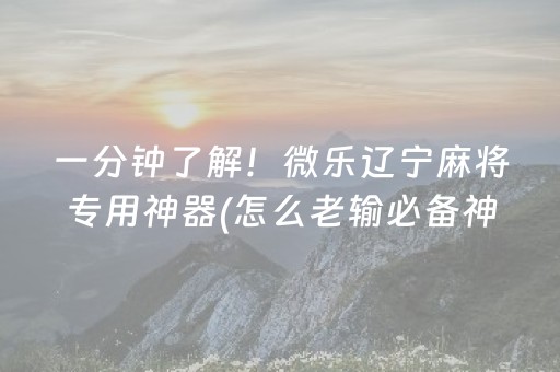 一分钟了解！微乐辽宁麻将专用神器(怎么老输必备神器)