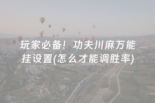 玩家必备！功夫川麻万能挂设置(怎么才能调胜率)