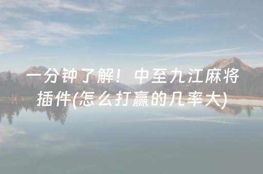 一分钟了解！中至九江麻将插件(怎么打赢的几率大)