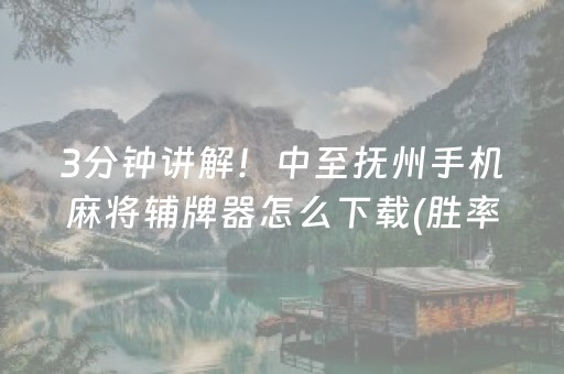 3分钟讲解！中至抚州手机麻将辅牌器怎么下载(胜率到哪调)