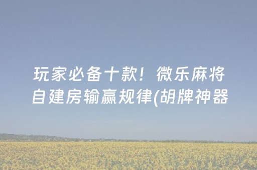 玩家必备十款！微乐麻将自建房输赢规律(胡牌神器有猫腻吗)