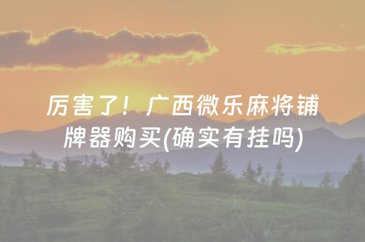厉害了！广西微乐麻将铺牌器购买(确实有挂吗)
