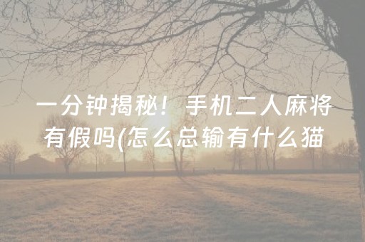 一分钟揭秘！手机二人麻将有假吗(怎么总输有什么猫腻)
