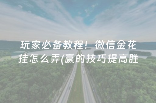 玩家必备教程！微信金花挂怎么弄(赢的技巧提高胜率)