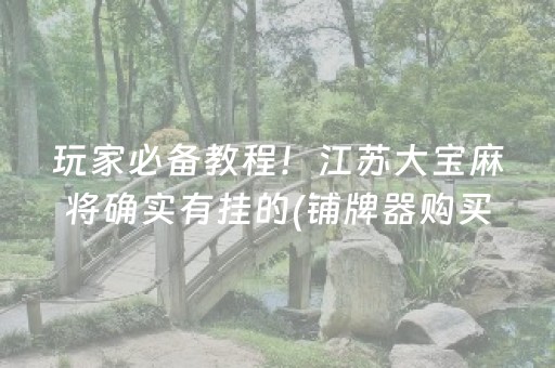 玩家必备教程！江苏大宝麻将确实有挂的(铺牌器购买)