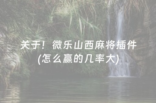 关于！微乐山西麻将插件(怎么赢的几率大)