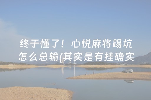 终于懂了！心悦麻将踢坑怎么总输(其实是有挂确实有挂)