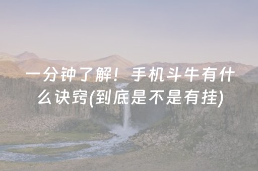 一分钟了解！手机斗牛有什么诀窍(到底是不是有挂)