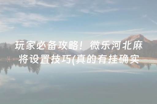 玩家必备攻略！微乐河北麻将设置技巧(真的有挂确实有挂)