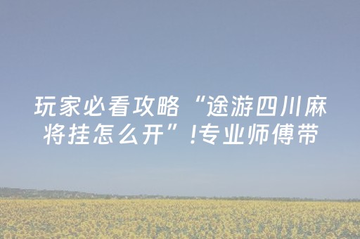 玩家必看攻略“途游四川麻将挂怎么开”!专业师傅带你一起了解（详细教程）-知乎